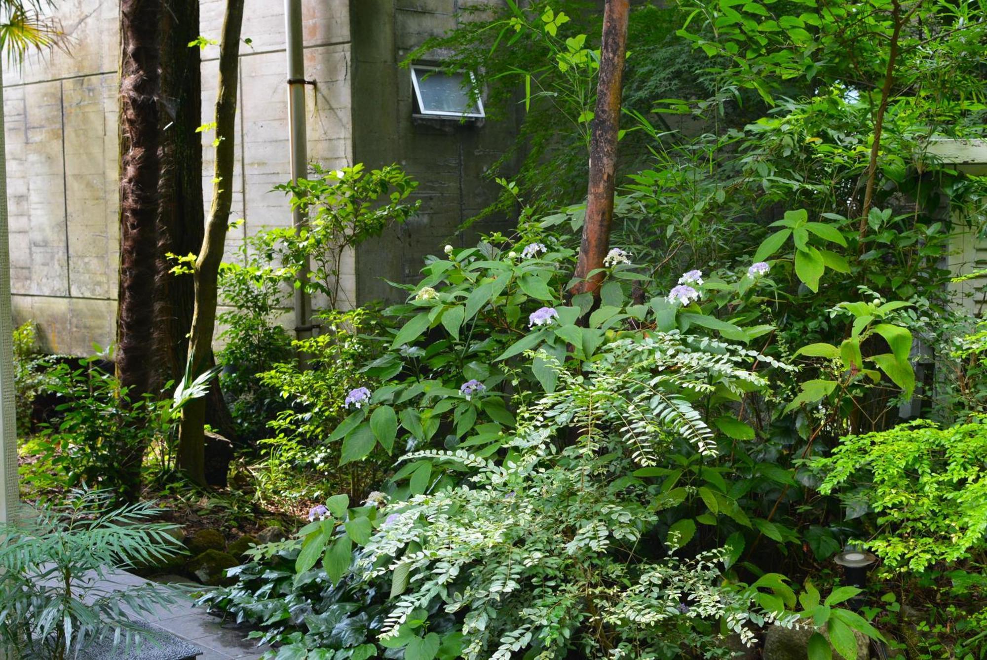 Hotel Hakone Mori No Yado Exterior foto
